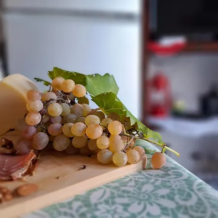 Dubravka * ロヴィニ